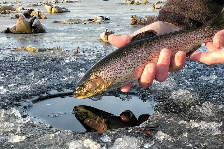 Anchorage Ice Fishing Adventure - Photo 1 of 7